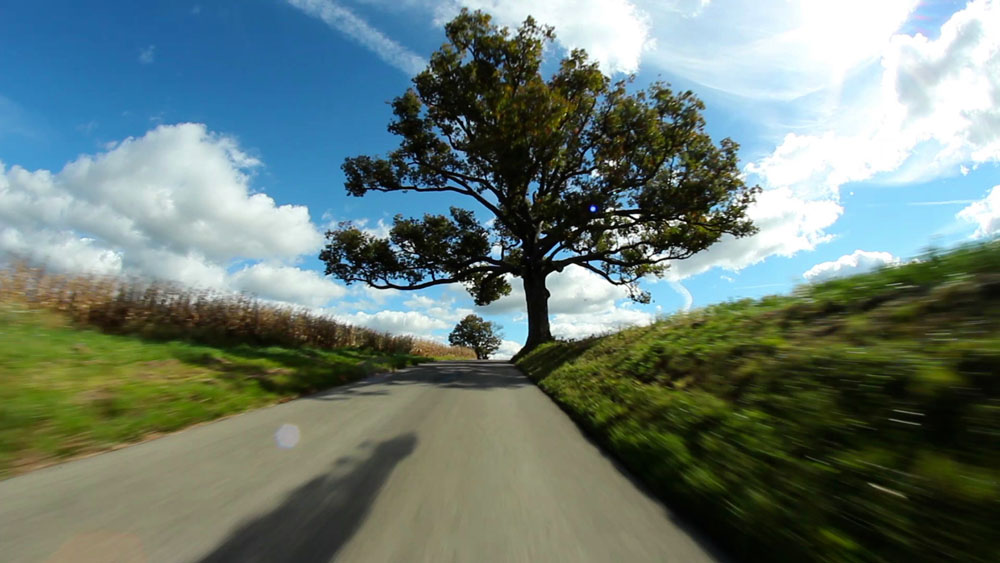 Toyota Europe Environment design, video garage image, beautiful oak tree set against a dynamic blue and cloudy skyline, the view is filmed from a car travelling along a tarmac road towards the tree and soothing landscape 
